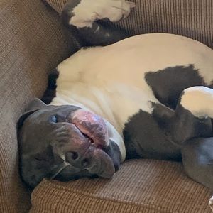 Meet your Posher, Diane